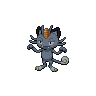 Dark Meowth (Alolan)